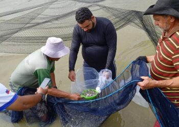 Governo do Amazonas e Prefeitura de Presidente Figueiredo fazem entrega de 40 mil alevinos à piscicultores
