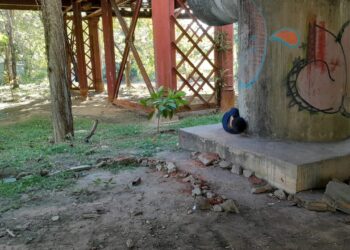 O mundo sob a ótica de uma mulher recém-saída de um enclausuramento de 6 meses