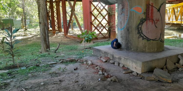 O mundo sob a ótica de uma mulher recém-saída de um enclausuramento de 6 meses