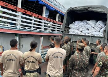 Polícia Federal apreende cerca de 19 toneladas de peixes de procedência ilegal