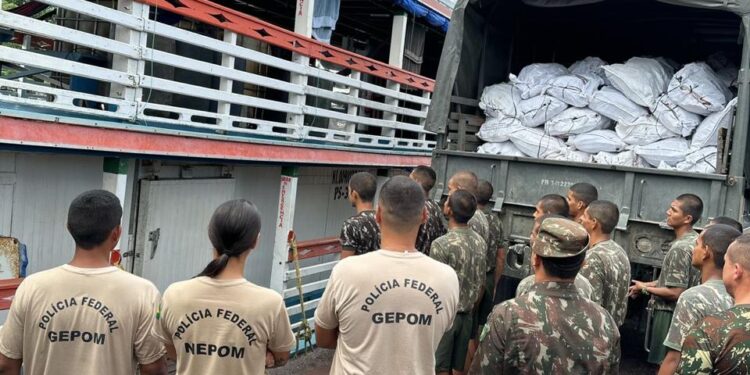 Polícia Federal apreende cerca de 19 toneladas de peixes de procedência ilegal