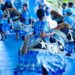 Caprichoso: Vaqueirada proporciona inclusão com autismo, diversidade de gênero e empoderamento feminino