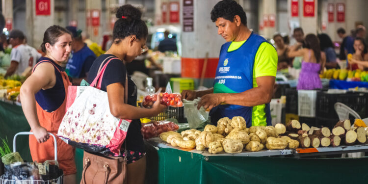Entenda a diferença entre produtos agroecológicos e orgânicos