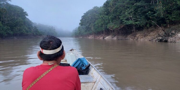 Vale do Javari: Ibama articula manejo participativo do pirarucu com povos indígenas