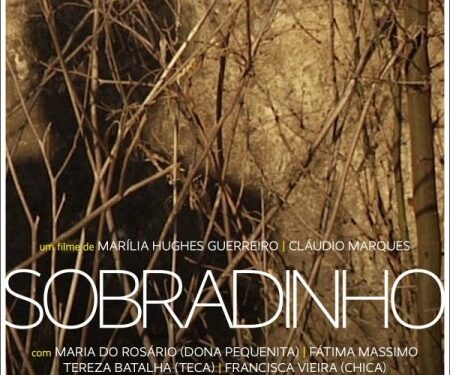 Filme com temática ambiental é exibido no Cineteatro Guarany