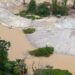 Garimpo de ouro na Amazônia cresceu mais de 90% em oito anos