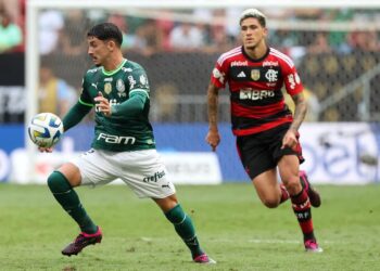 Palmeiras e Flamengo se enfrentam tentando se aproximar do Botafogo