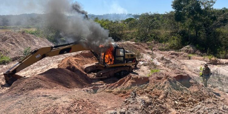 PF destrói equipamentos usados no minério ilegal; área desmatada equivale a 118 campos de futebol