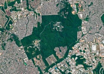 David Almeida veta projeto de Diego Afonso que reduziria área de preservação em Manaus