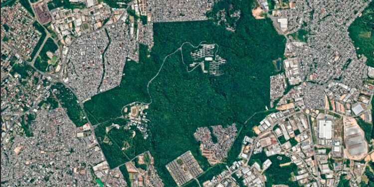 David Almeida veta projeto de Diego Afonso que reduziria área de preservação em Manaus