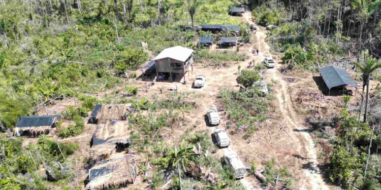 Polícias apuram denúncias de queimadas e desmatamento ilegal em Humaitá