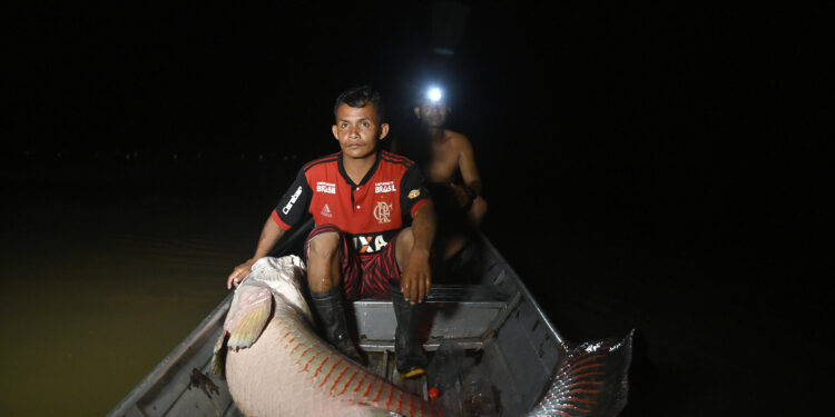 Otimismo marca articulações para a temporada 2023 da pesca de pirarucu no AM