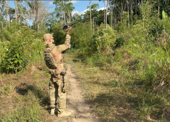 PF e ICMBio realizam operação de combate à extração ilegal de madeira em Boca do Acre