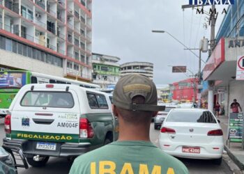 Ibama notifica agências e hotéis por publicidade com animais silvestres