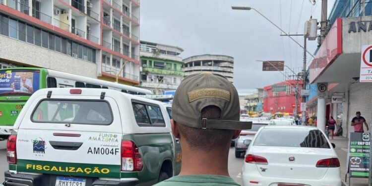 Ibama notifica agências e hotéis por publicidade com animais silvestres