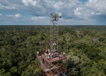 LABVERDE anuncia artista selecionados para programa de residência