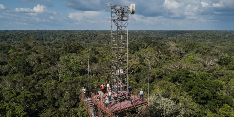 LABVERDE anuncia artista selecionados para programa de residência