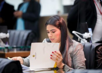 Deputada estadual faz balanço do primeiro semestre de mandato