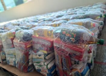 Guaraná Tuchaua faz doação de mais de 800 cestas básicas para artistas de Parintins