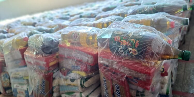 Guaraná Tuchaua faz doação de mais de 800 cestas básicas para artistas de Parintins