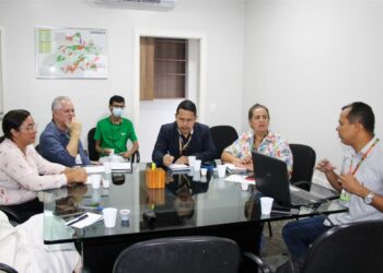 Secretaria promove encontro para fortalecer produção regional de mandioca