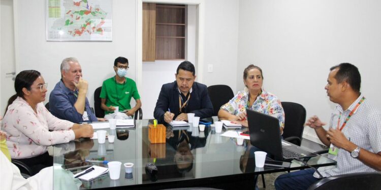 Secretaria promove encontro para fortalecer produção regional de mandioca