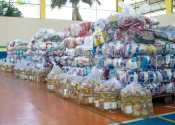 Parintins 2023: Seas entrega alimentos trocados por entrada na Festa dos Visitantes para instituições de Parintins  