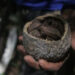 Empresas e negócios podem ajudar a manter a floresta de pé e fortalecer a bioeconomia na Amazônia