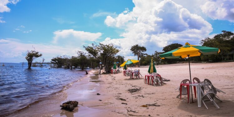 Remada Ambiental acontecerá no Festival Tarumã Alive; evento terá 14 horas de programação