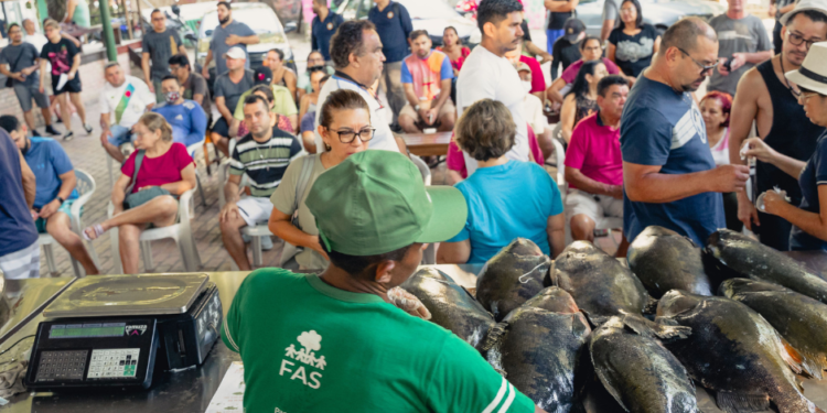 Feira do Tambaqui gera renda de mais de R$ 125 mil a manejadores da RDS Mamirauá 