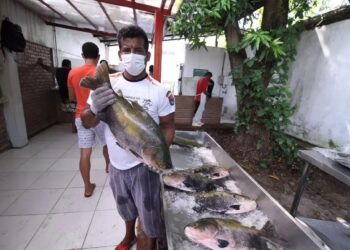 Tambaqui é vendido a partir de R$ 10 na sede da FAS