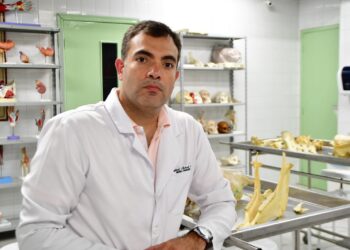 Vacinação antirrábica é eficaz e deve ser aplicada anualmente em cães e gatos