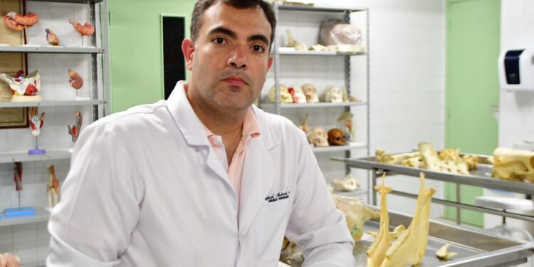 Vacinação antirrábica é eficaz e deve ser aplicada anualmente em cães e gatos