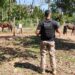 Polícia resgata seis cavalos em situação de maus-tratos em Rio Preto da Eva