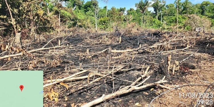 Polícia Civil identifica áreas desmatadas na margem direita do Rio Negro