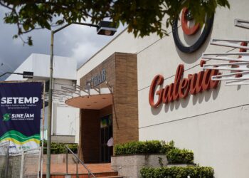Sine Amazonas divulga 88 vagas de emprego para esta terça-feira  