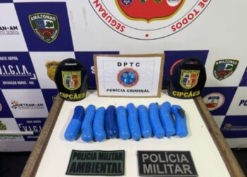 Com auxílio de cães farejadores, policiais apreendem porções de maconha em embarcação