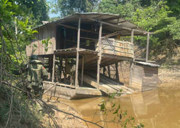 Vale do Javari: Ibama, Forças Armadas, PF e Funai neutralizam 50 dragas do garimpo ilegal