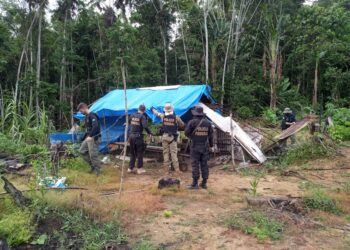 PF em ação conjunta combate crimes ambientais no Parque Pico da Neblina
