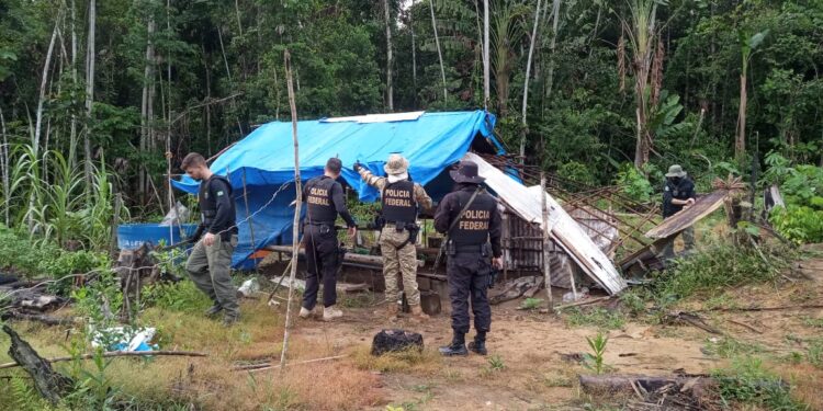 PF em ação conjunta combate crimes ambientais no Parque Pico da Neblina