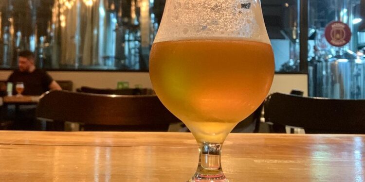Dia Internacional da Cerveja: dicas de marketing para os empresários e de degustação para os que adoram conhecer novos paladares.