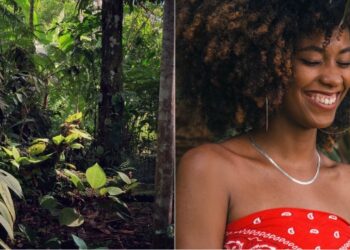 Amazônia – Ela Empoder@+ Amazônia busca 20 startups lideradas por mulheres para pré-aceleração