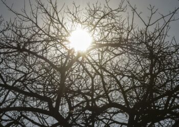 Julho é confirmado como o mês mais quente da história