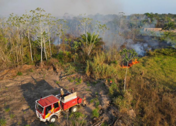 224 incêndios foram combatidos no sul do Amazonas, diz governo