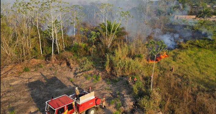 224 incêndios foram combatidos no sul do Amazonas, diz governo