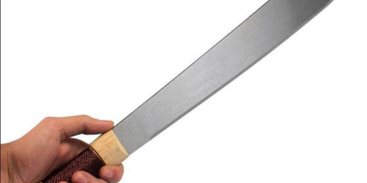 Com terçado, mãe agride o próprio filho e acaba presa pela Polícia Civil