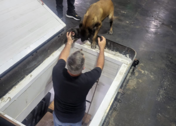 Polícia prende idoso e apreende cocaína avaliada em mais de R$ 800 mil