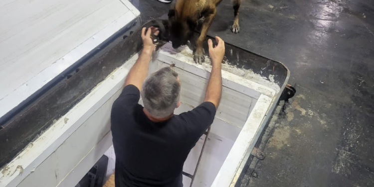 Polícia prende idoso e apreende cocaína avaliada em mais de R$ 800 mil