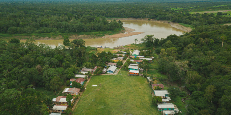Dia da Amazônia: saiba como projetos ambientais contribuem para conservação da floresta
