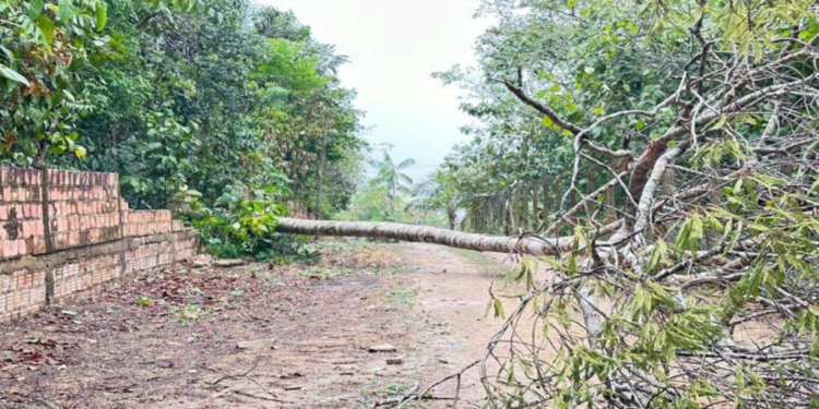 Prefeitura registra cinco ocorrências durante a chuva desta quarta-feira (20/09)